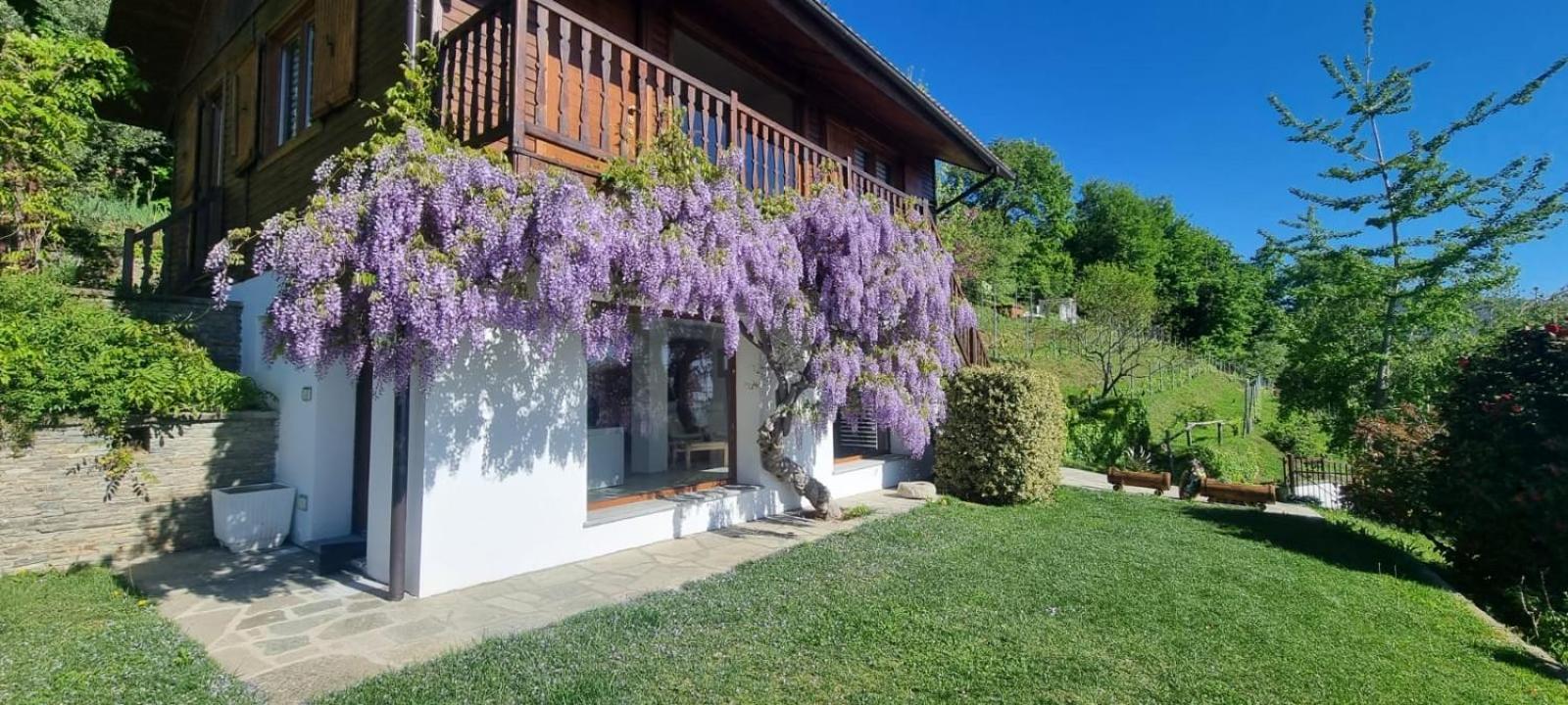 Chalet Sophie - Luxury Chalet Roletto Екстер'єр фото